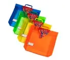 Pvc Document Bag With Handle Green Color