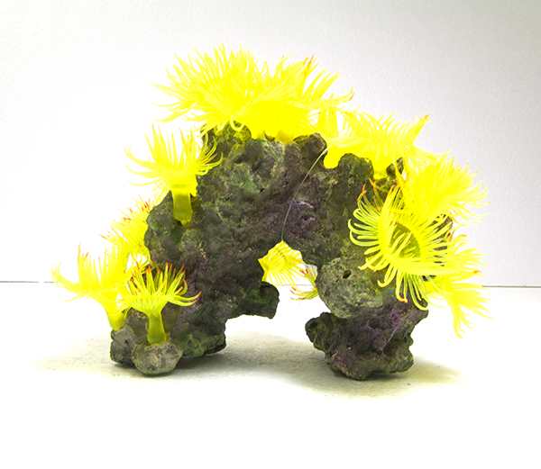 YELLOW CORAL ARCH